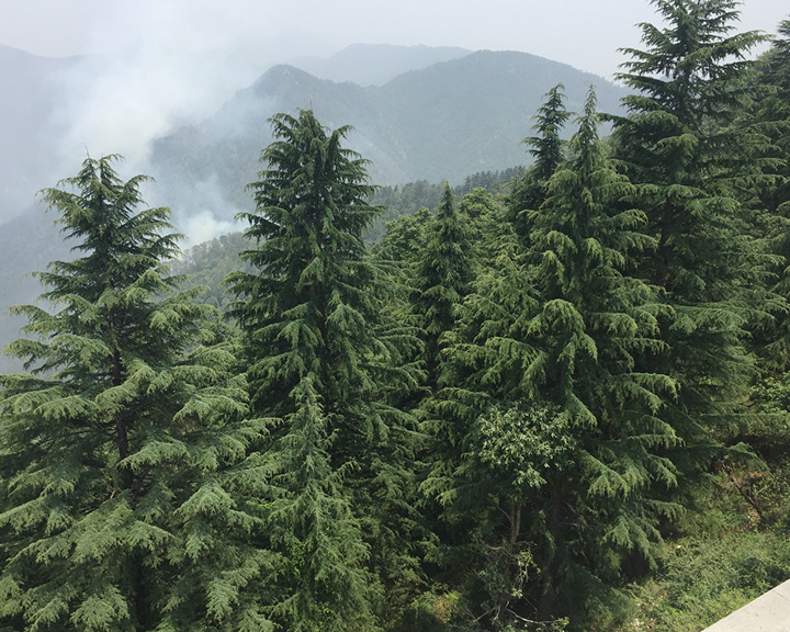 Landour