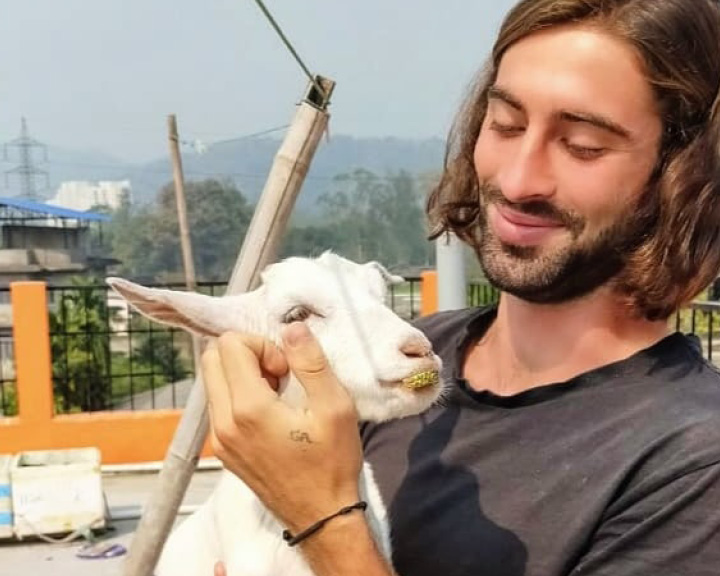 Giovanni Allegrini india