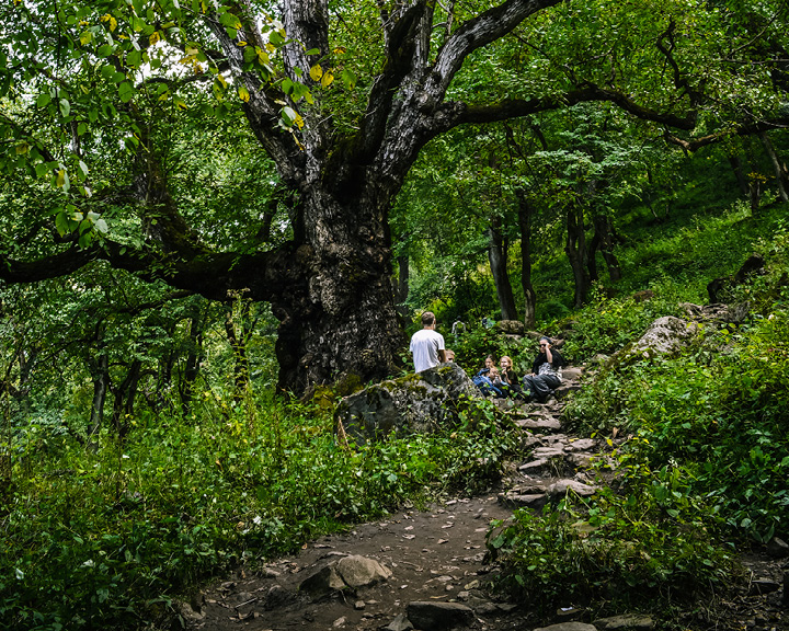Himachal Mystical Kheerganga