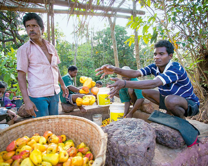 Feni Tour