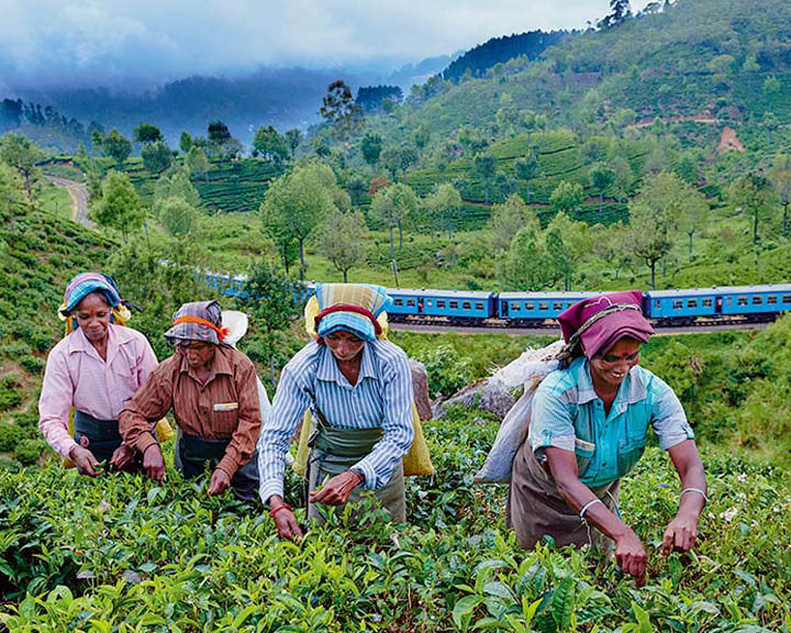 Sri Lanka Sustainable Tourism