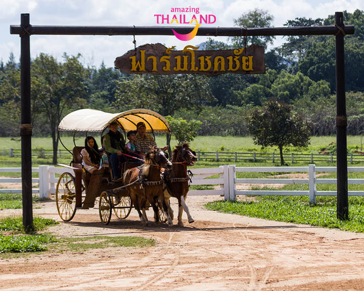 Family Holiday Thailand