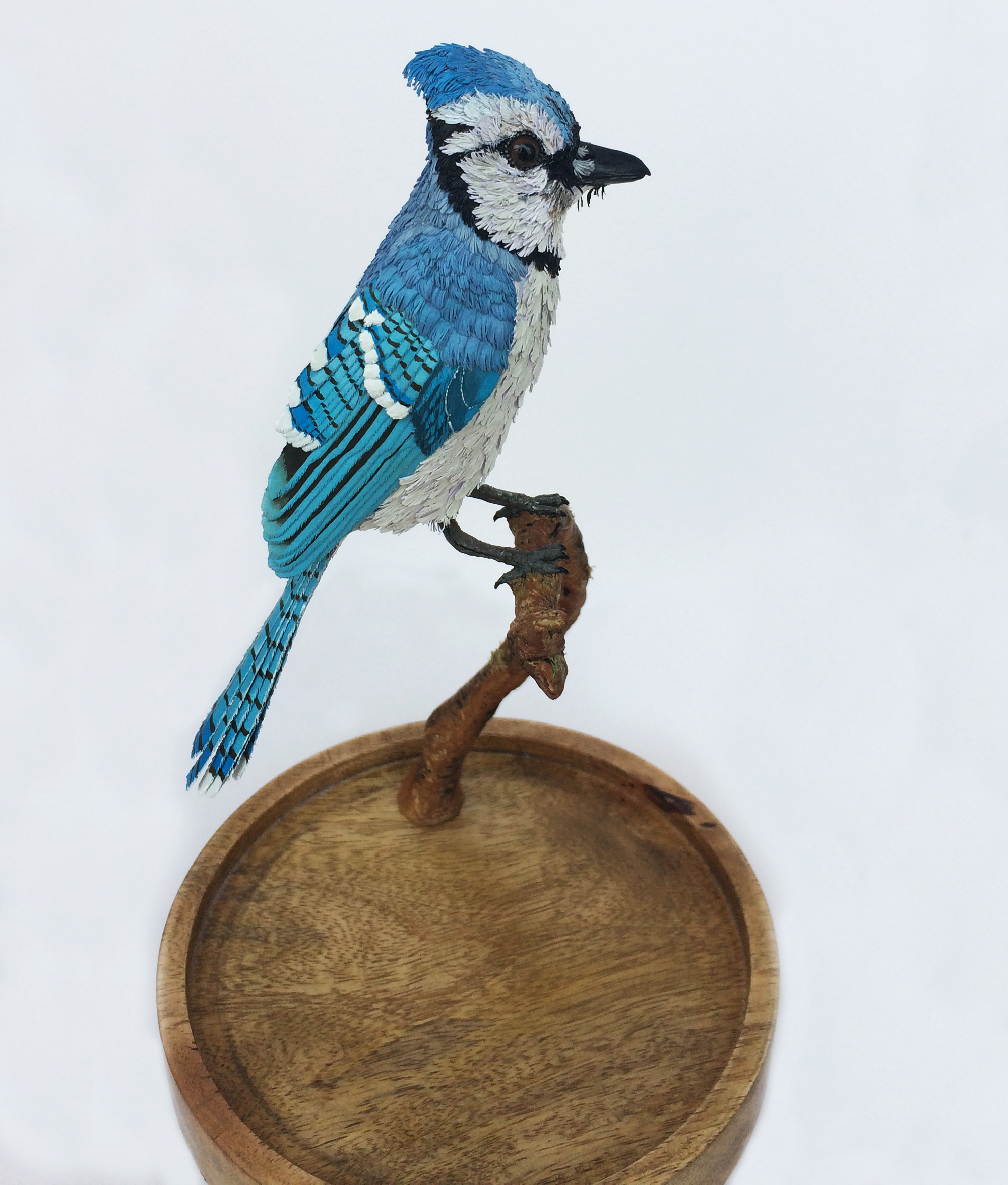 Niharika Rajput Bird Sculptures