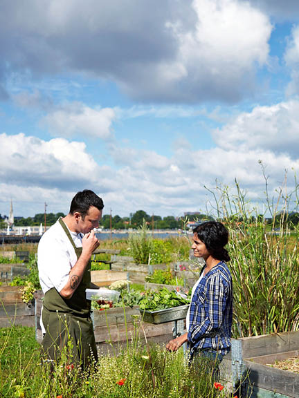 sustainable copenhagen