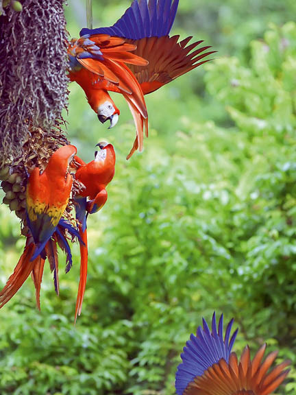 sustainable tourism