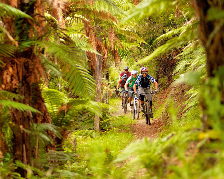 sustainable tourism