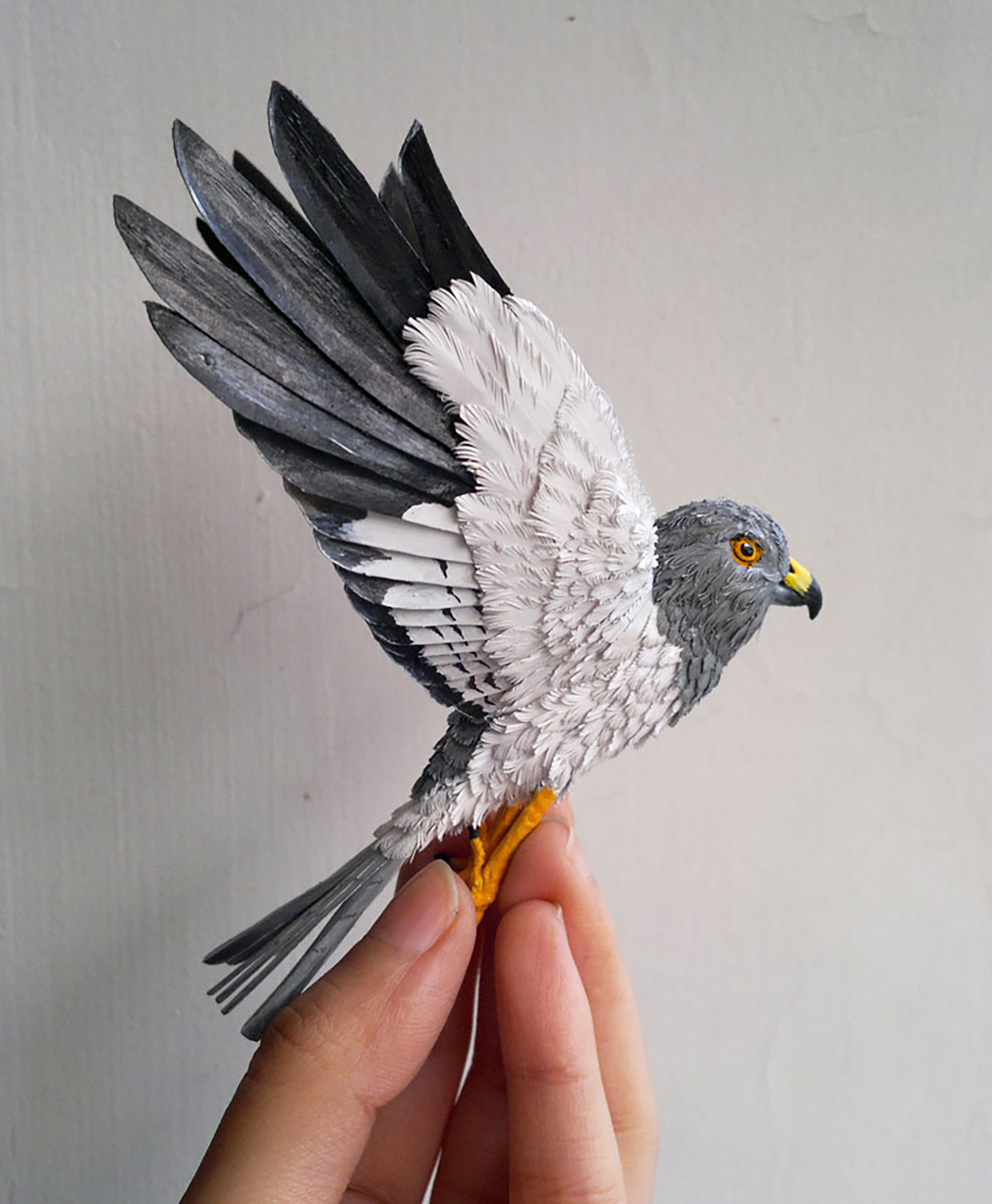 Niharika Rajput Bird Sculptures