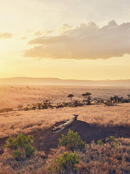 Kenya