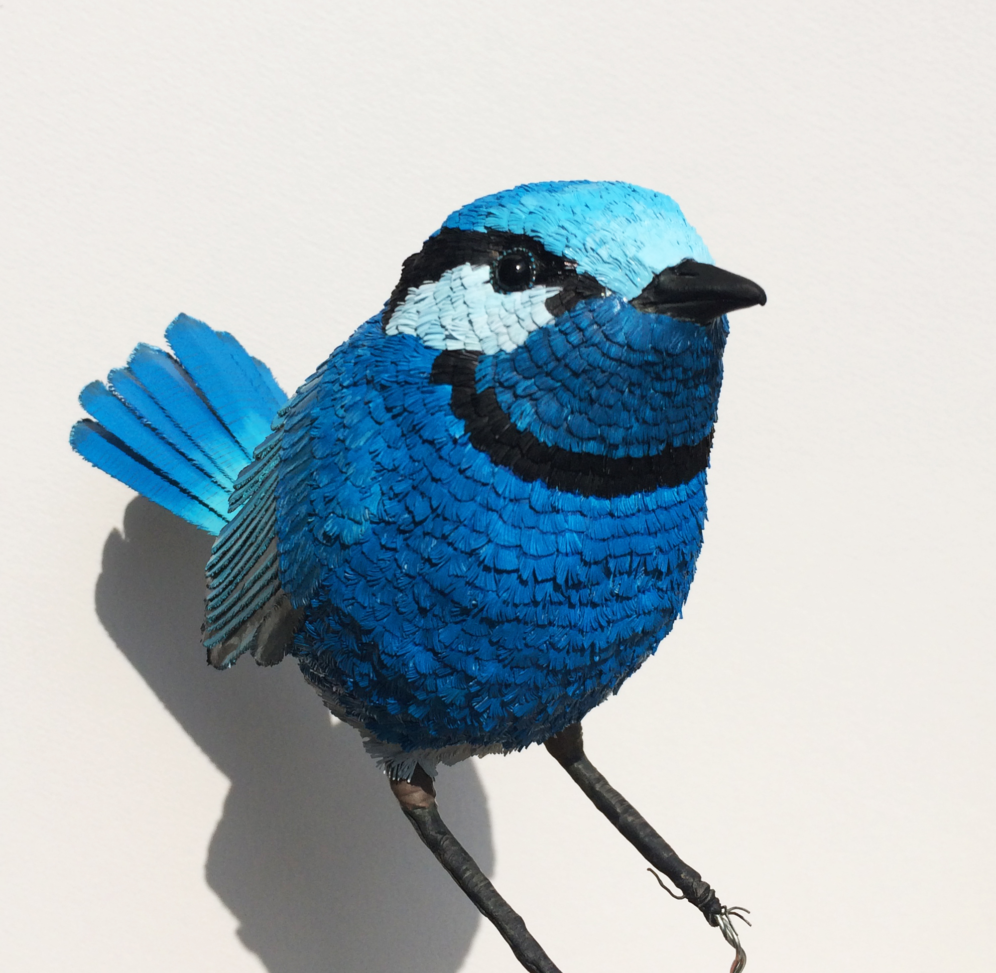 Niharika Rajput Bird Sculptures