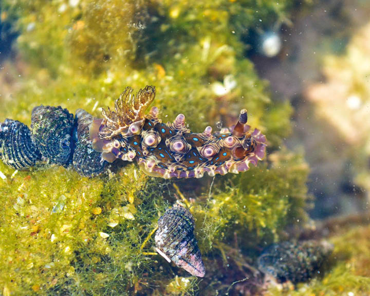 tide pools