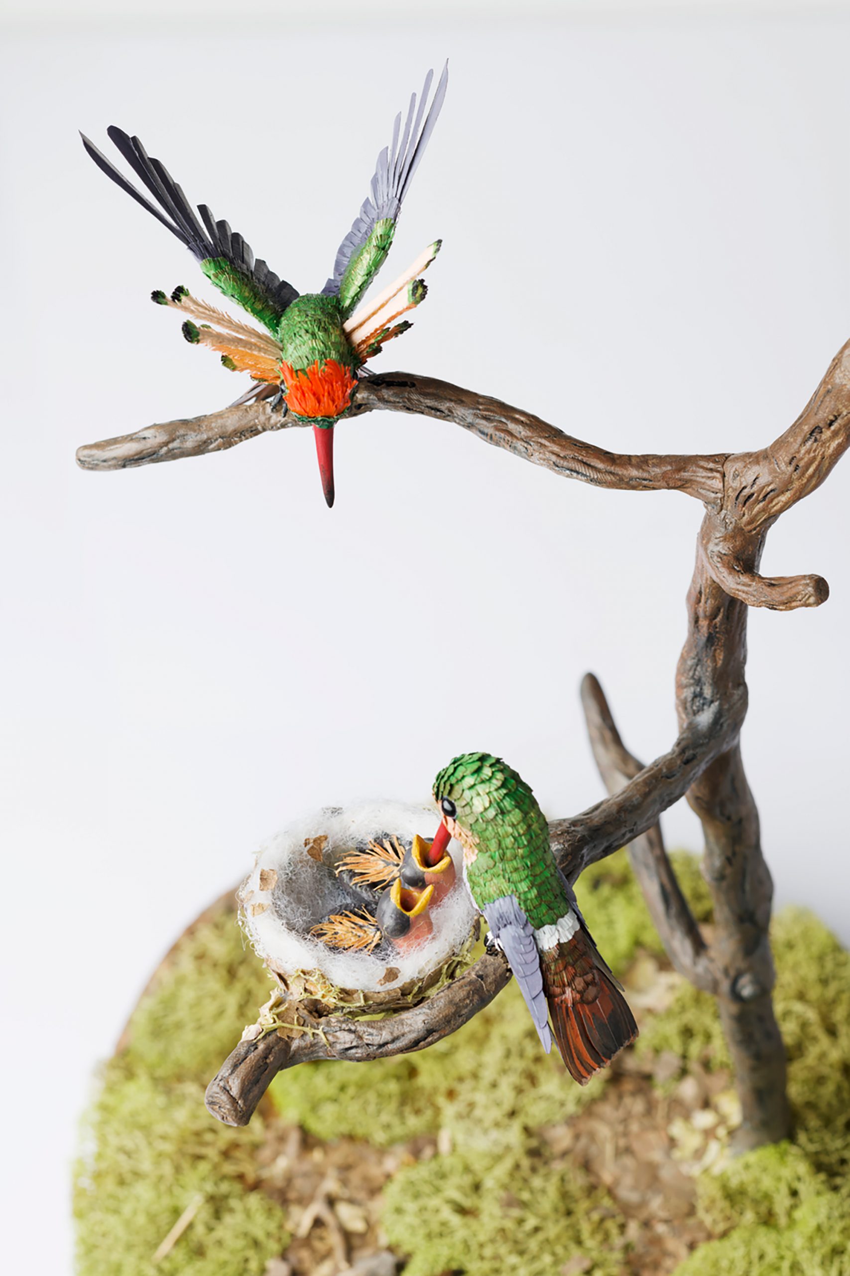 Niharika Rajput Bird Sculptures