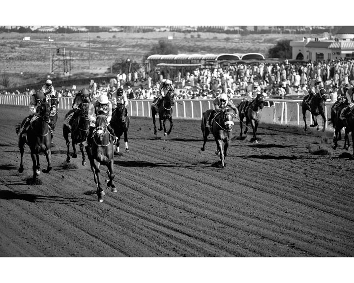 Jebel Ali Racecourse Dubai