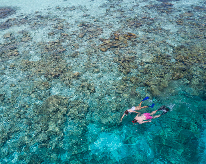OZEN RESERVE BOLIFUSHI